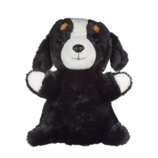 Bernese Mountain Dog